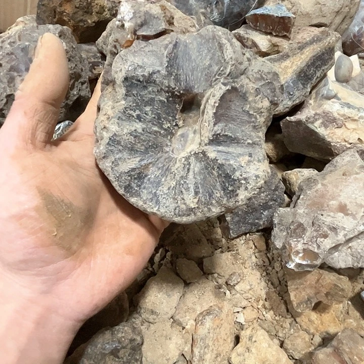 玛瑙/玉髓珠宝奇石未镶嵌清**徐