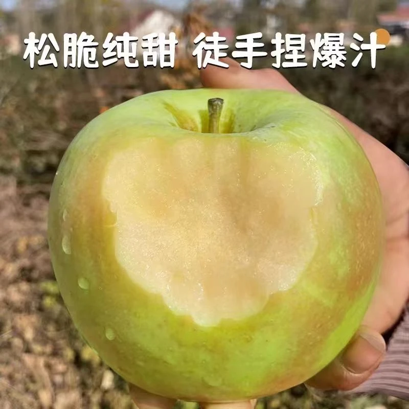 正宗明月苹果 水蜜桃苹果 脆甜多汁高端青苹果 高山种植青森苹果