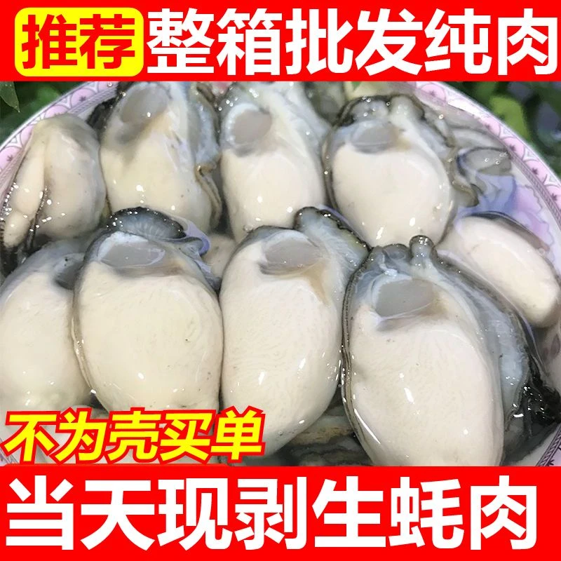 【高品质】新鲜生蚝鲜活特大现剥去壳海鲜生鲜即食牡蛎特大号生蚝