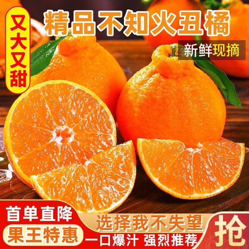 【果王特惠】精品不知火丑橘正宗现摘应季四川特产桔子新鲜水果橘子