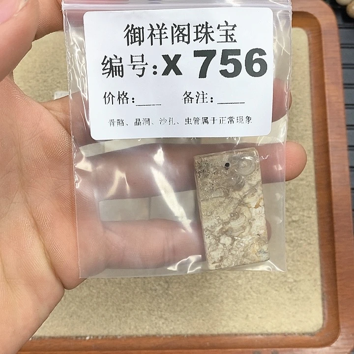 硅化珊瑚（珊瑚玉）颈饰未镶嵌玖*