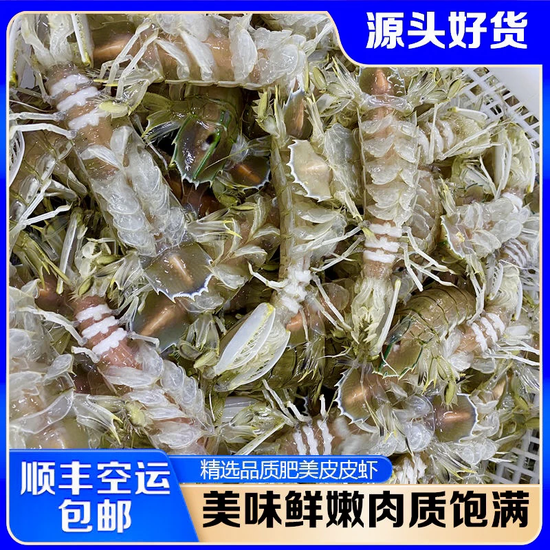 皮皮虾琵琶虾大头虾海虾菇富贵虾濑尿虾鲜活蒸熟速冻锁鲜顺丰包邮