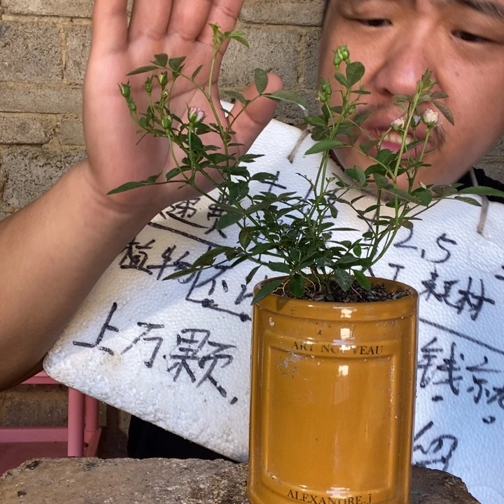 退款拉黑一物一拍7