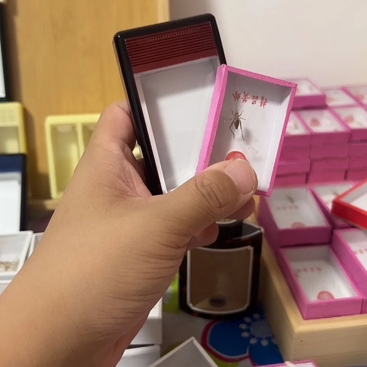 周玲有机盒哈哈哈哈