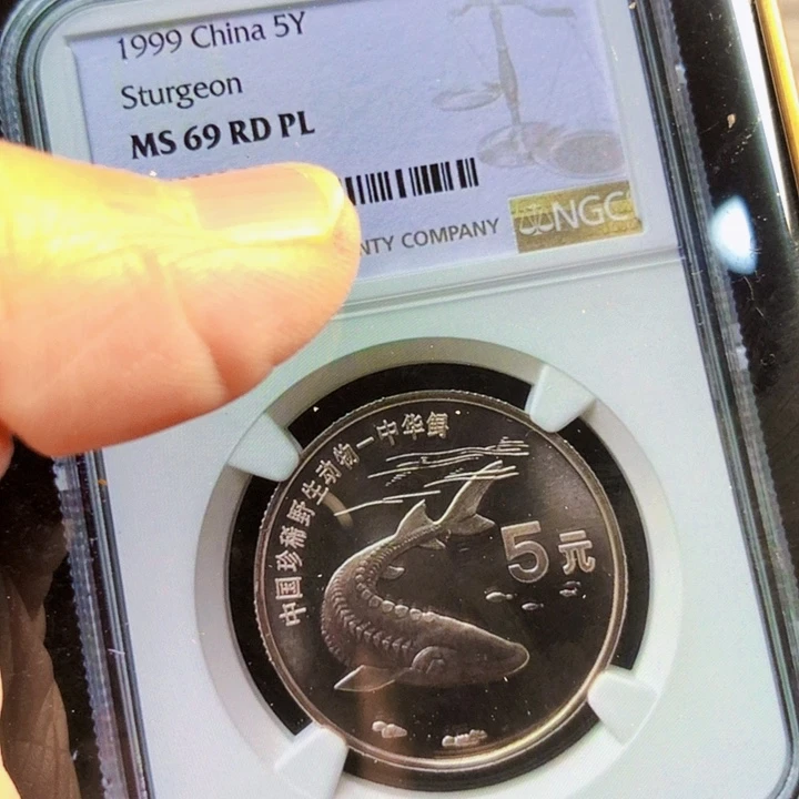 其他普通金属鲟69分精制