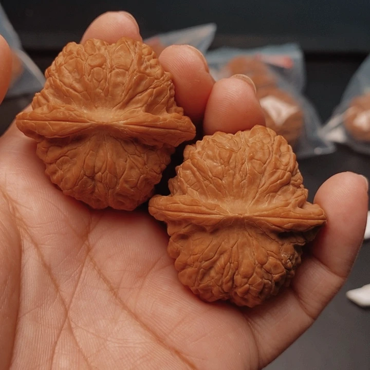 核桃血麒麟41尺核桃