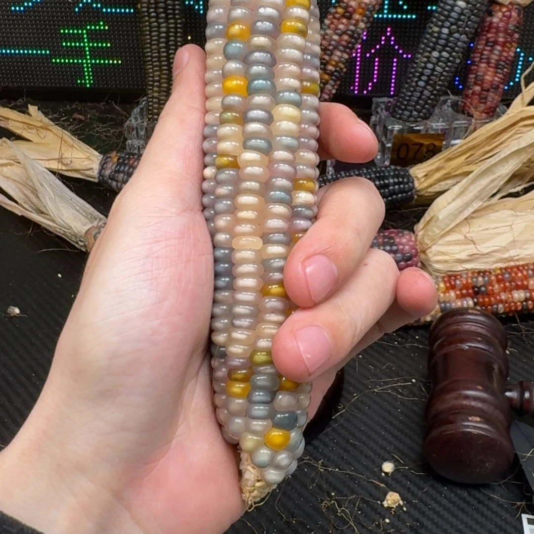 柏香籽/百香籽吊坠无***乐