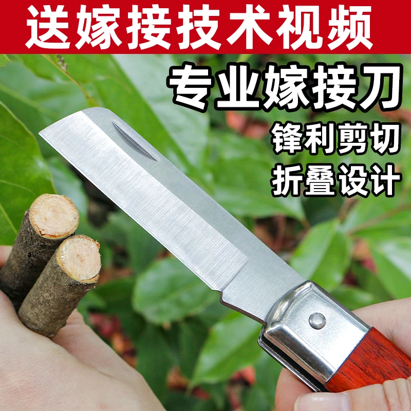 CPAI可折叠果树嫁接专用刀膜嫁接工具大树接树架接手工刀嫁接神器