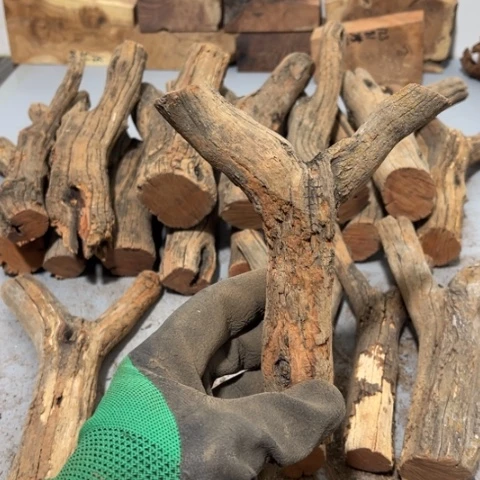 大果紫檀（缅甸花梨）尛*斗