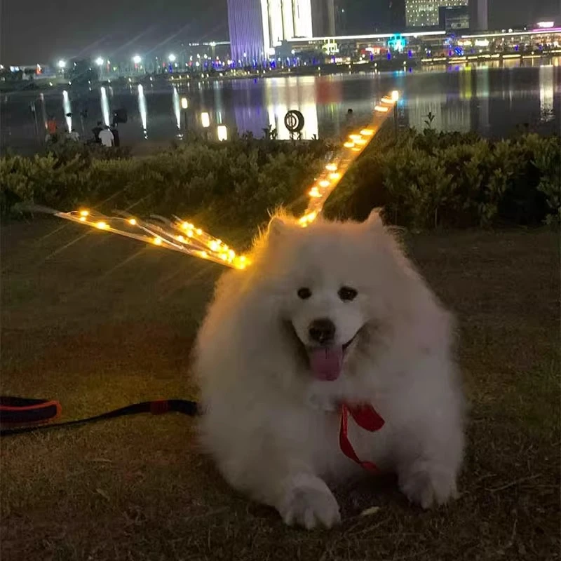 中型犬狗狗蝴蝶翅膀宠物发光翅膀小狗狗狗蝴蝶翅膀背饰萨摩耶哈士