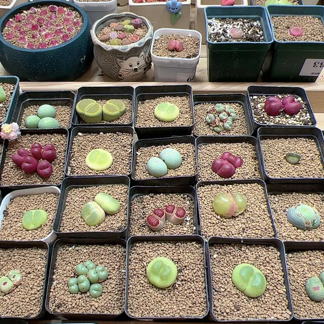 【闪购商品】?****！470 一起