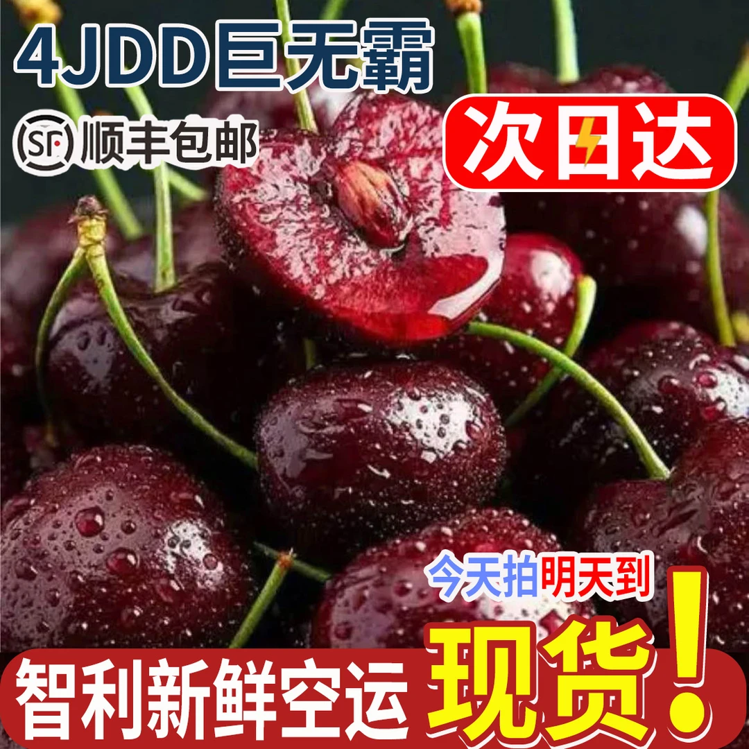 4JDD果王黑车【今天拍明天到】5斤原箱智利空运进口车厘子新鲜水果内附果径卡桑提娜Y桑提娜樱桃智利共和国