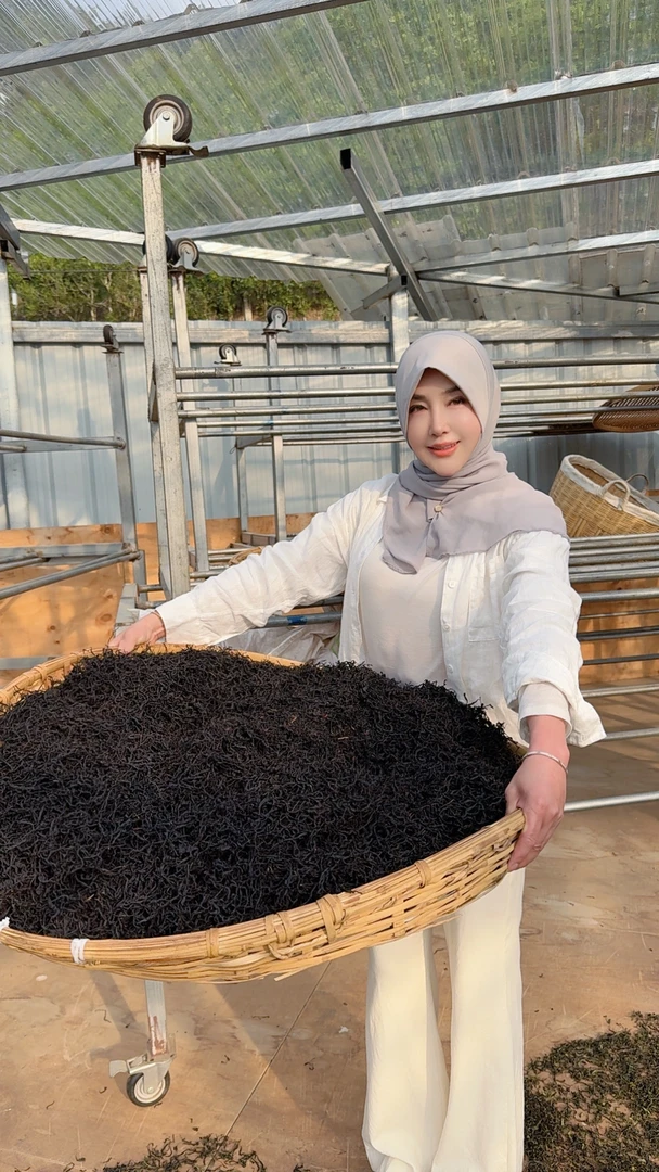 黑条子千年野生红茶2025年3月26日开采红茶100g散【春茶首发】