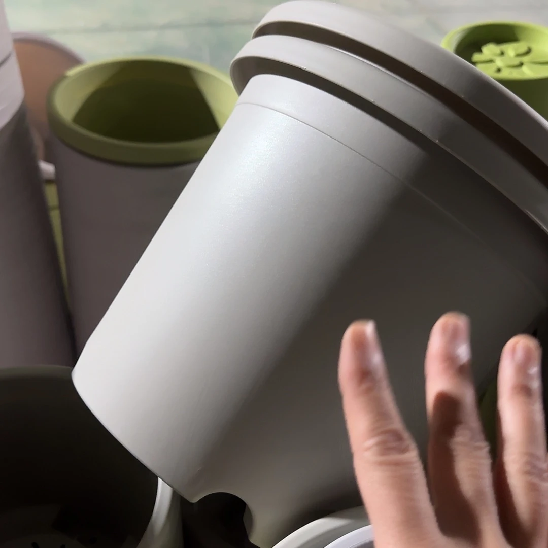 树脂四季5号无托6个灰白微瑕