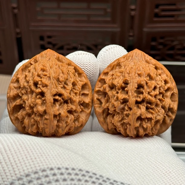 精选老树满天星狮子头，边44肚43高44，原生态山地果，骨质好克重足