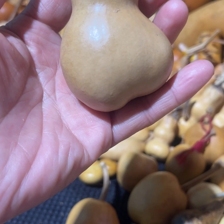 J***A葫芦葫哈哈哈哈哈哈哈哈