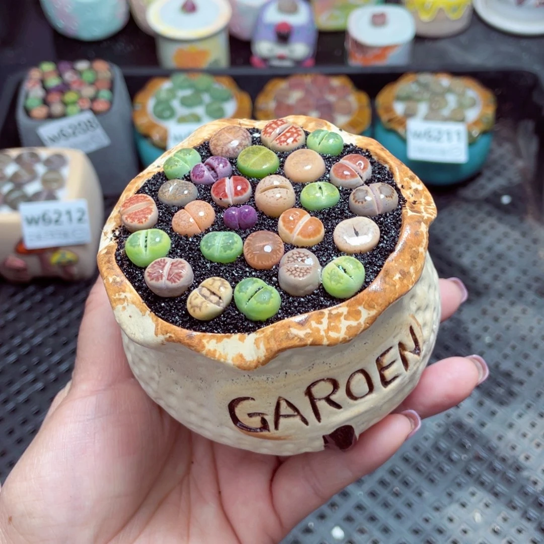 w6213 -零下地区保温箱-15支持寄养