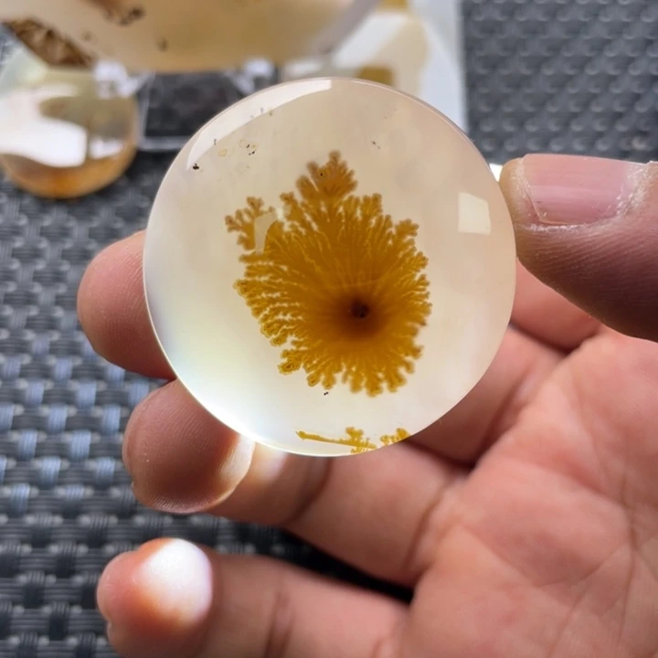 捕***者玛瑙/玉髓未镶嵌颈饰