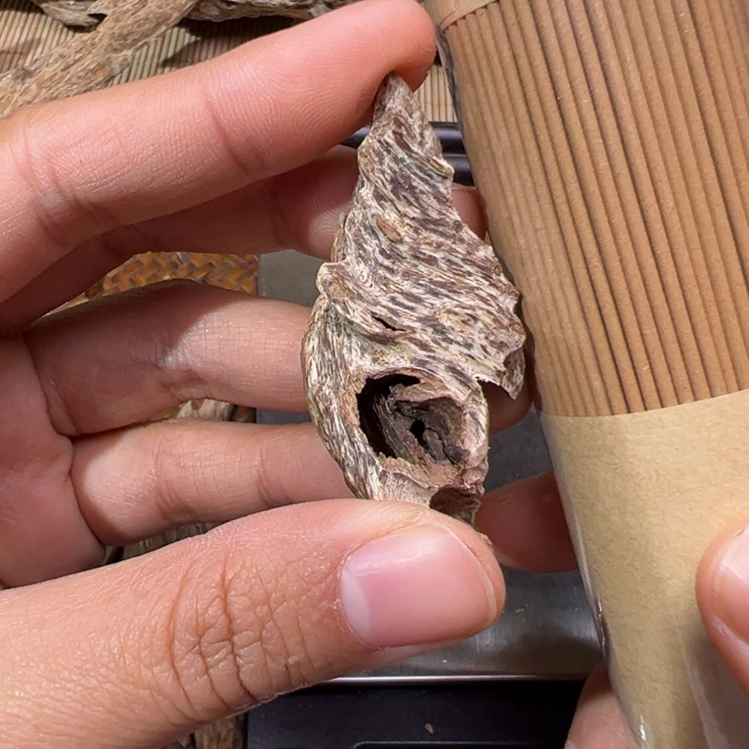 海南金丝红油虎斑2.8克重的