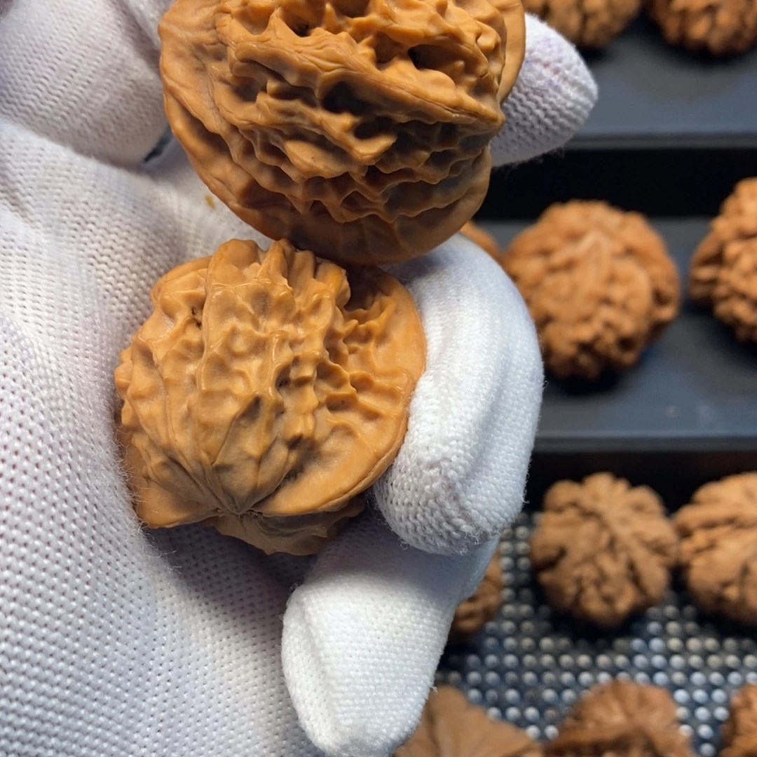 J***核桃手串/手链秦岭森林中发现过几株