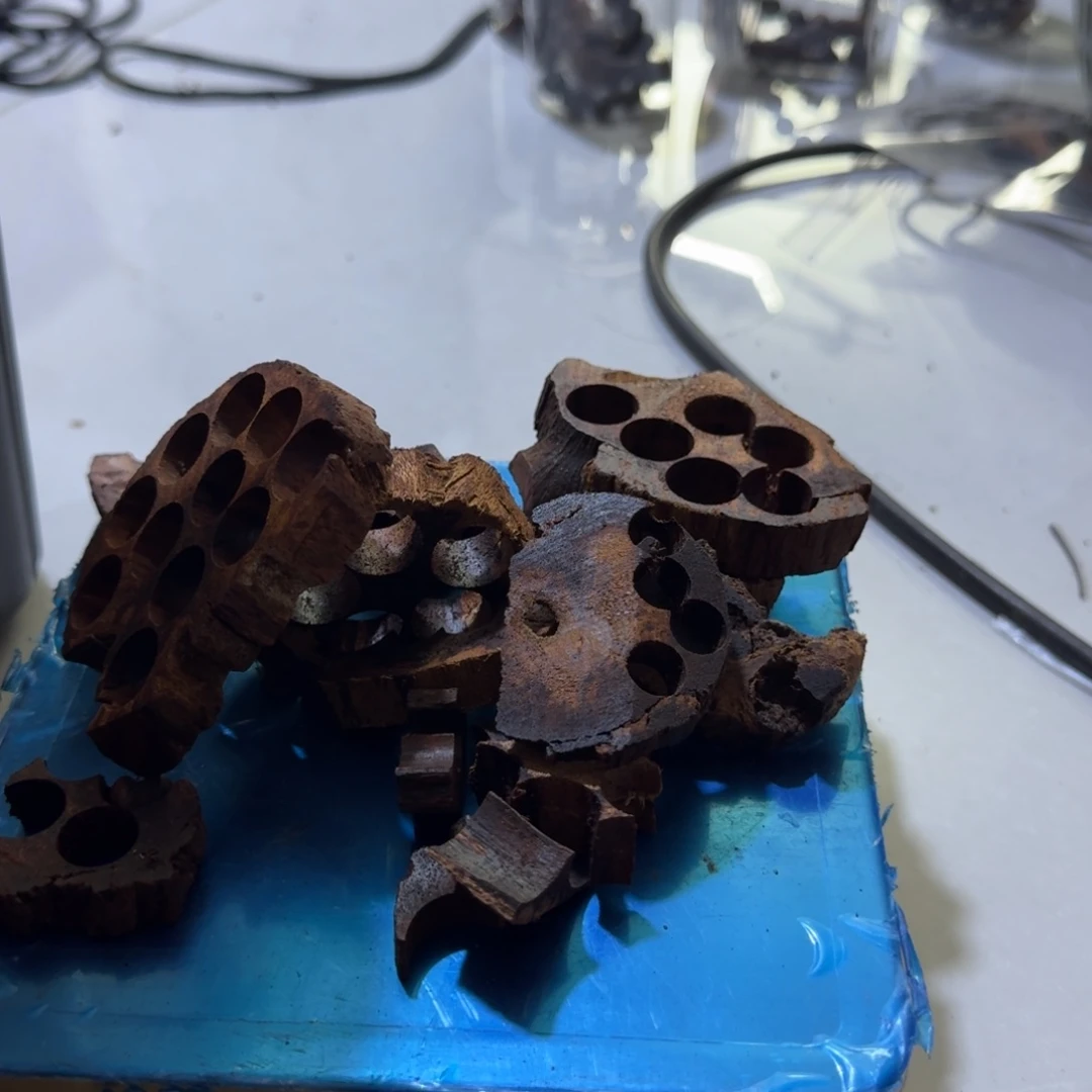 藤类100g碎料降真香品香