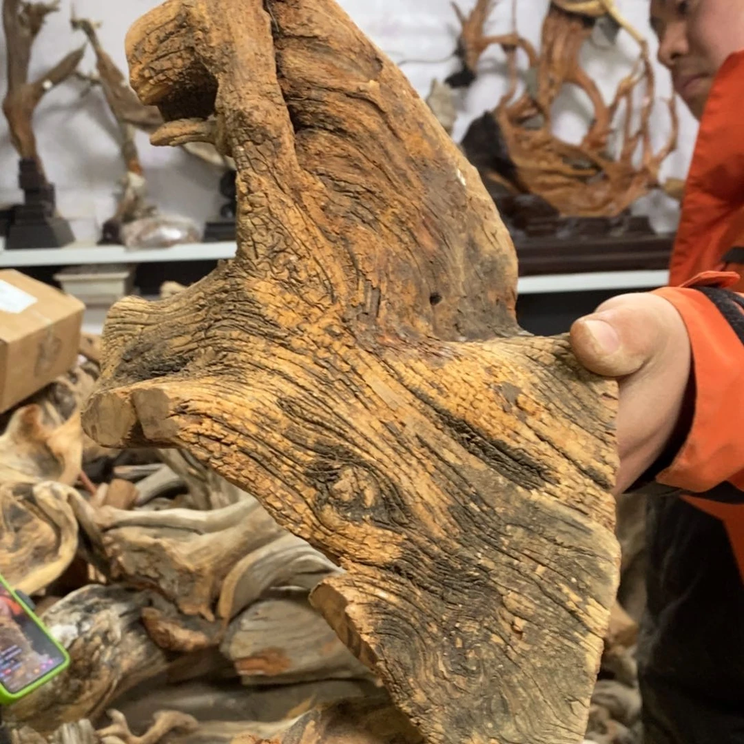 柏木古**香我们都是好孩子