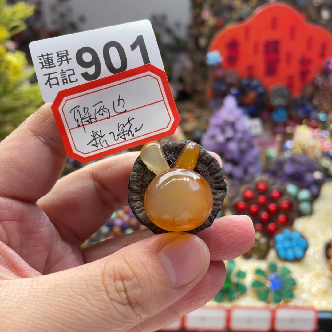 核桃木/黑胡桃（胡桃木）南**舞901耳朵旁粘花