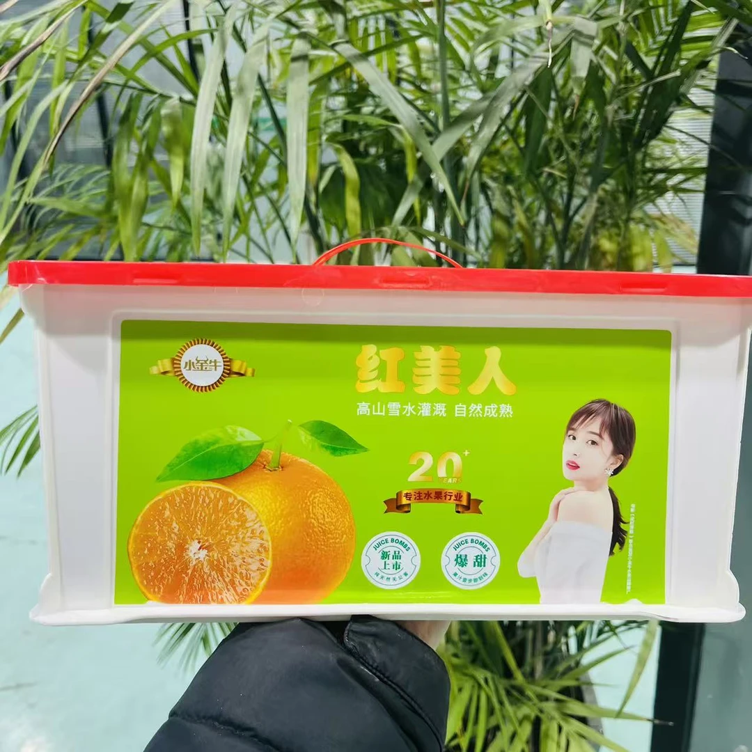 【一框】红美人爱媛果冻橙 带框5.8斤左右 只限山西省内可拍