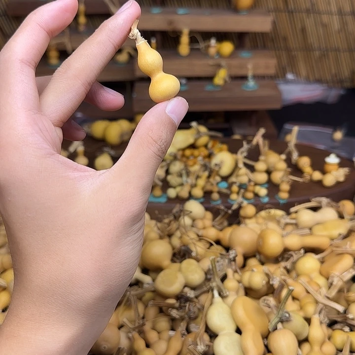 志***型几点回放假放假放假
