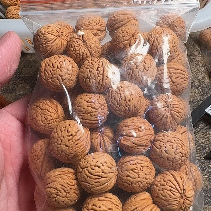 随***。吊坠桃核6666666666666
