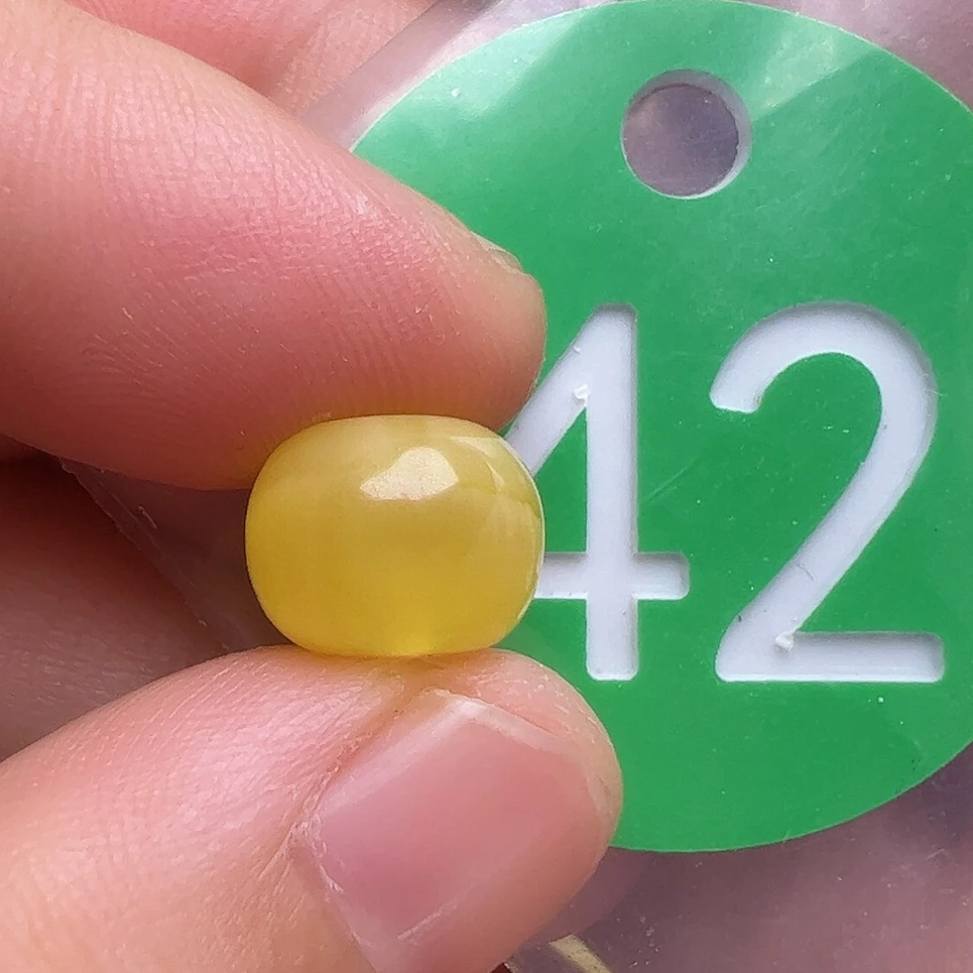 未镶嵌蜜蜡裸石10.2m m