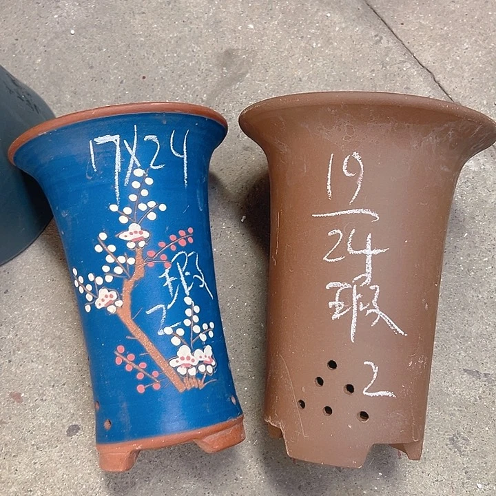 紫砂紫砂紫砂紫砂紫砂