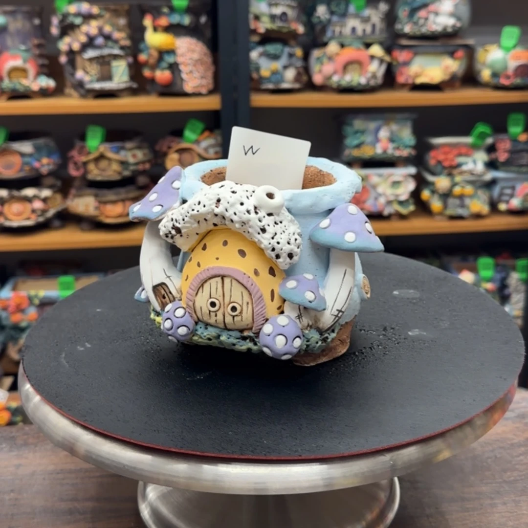 【闪购商品】陶瓷W*粗陶手捏
