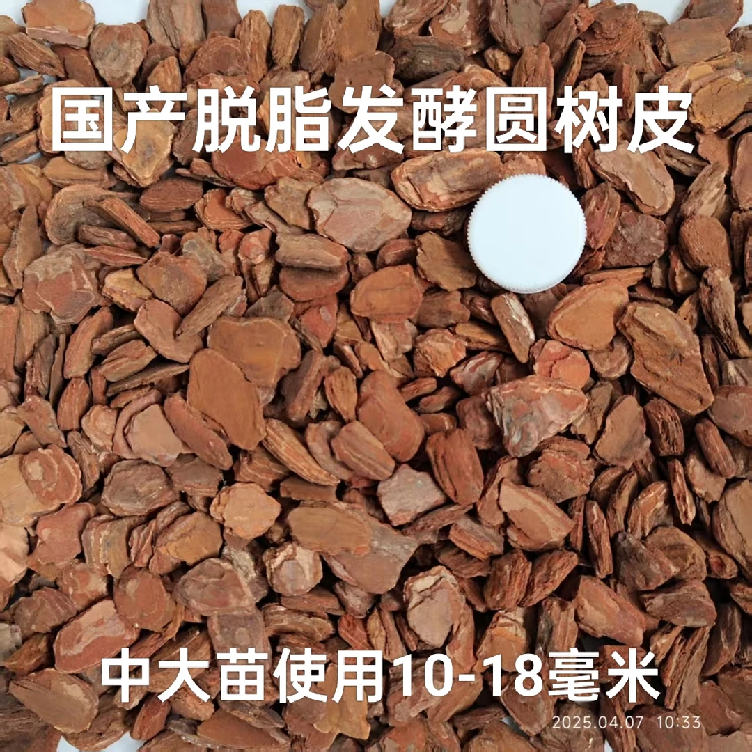 【国产特级圆树皮】脱脂发酵松树皮蝴蝶兰石斛兰文心兰兰科专用