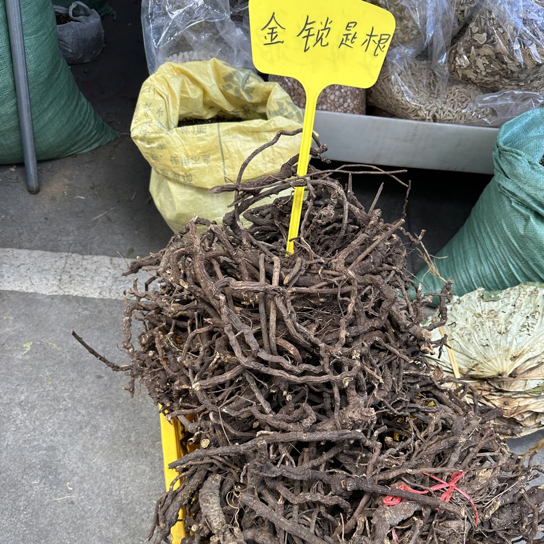 广西本地百解藤 金锁匙 银锁匙 轮环藤