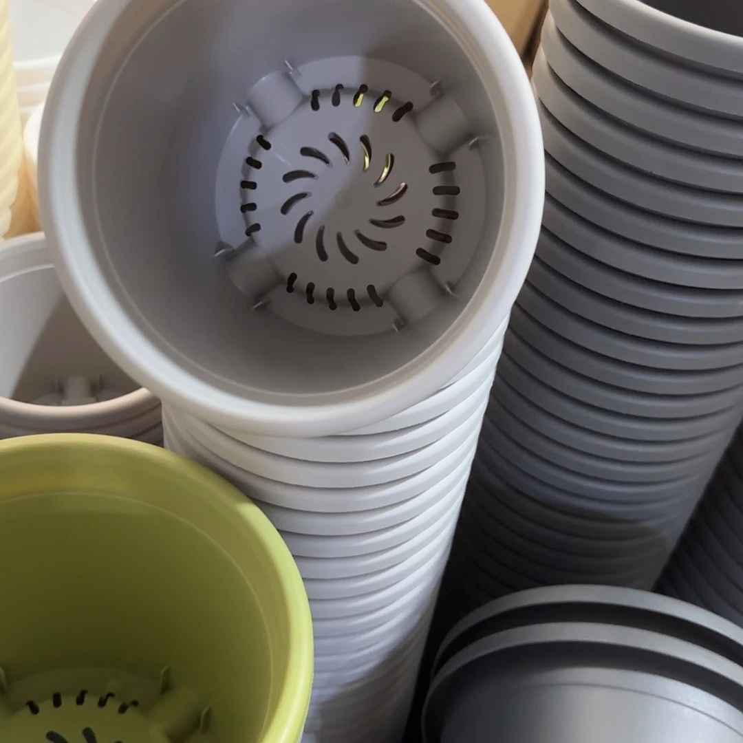 微瑕2号无托10个，灰白