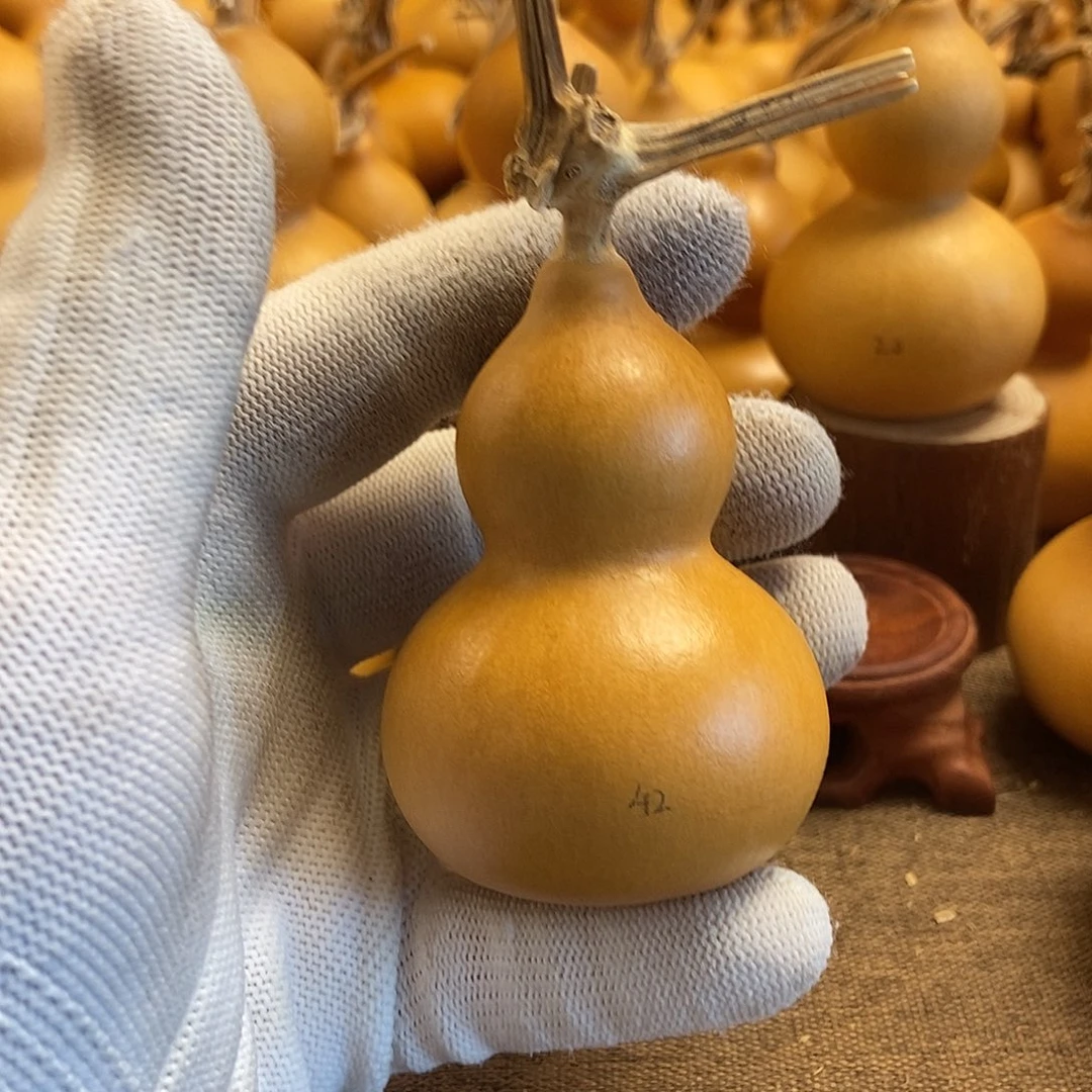 文玩葫芦 完美主义者 慎拍42