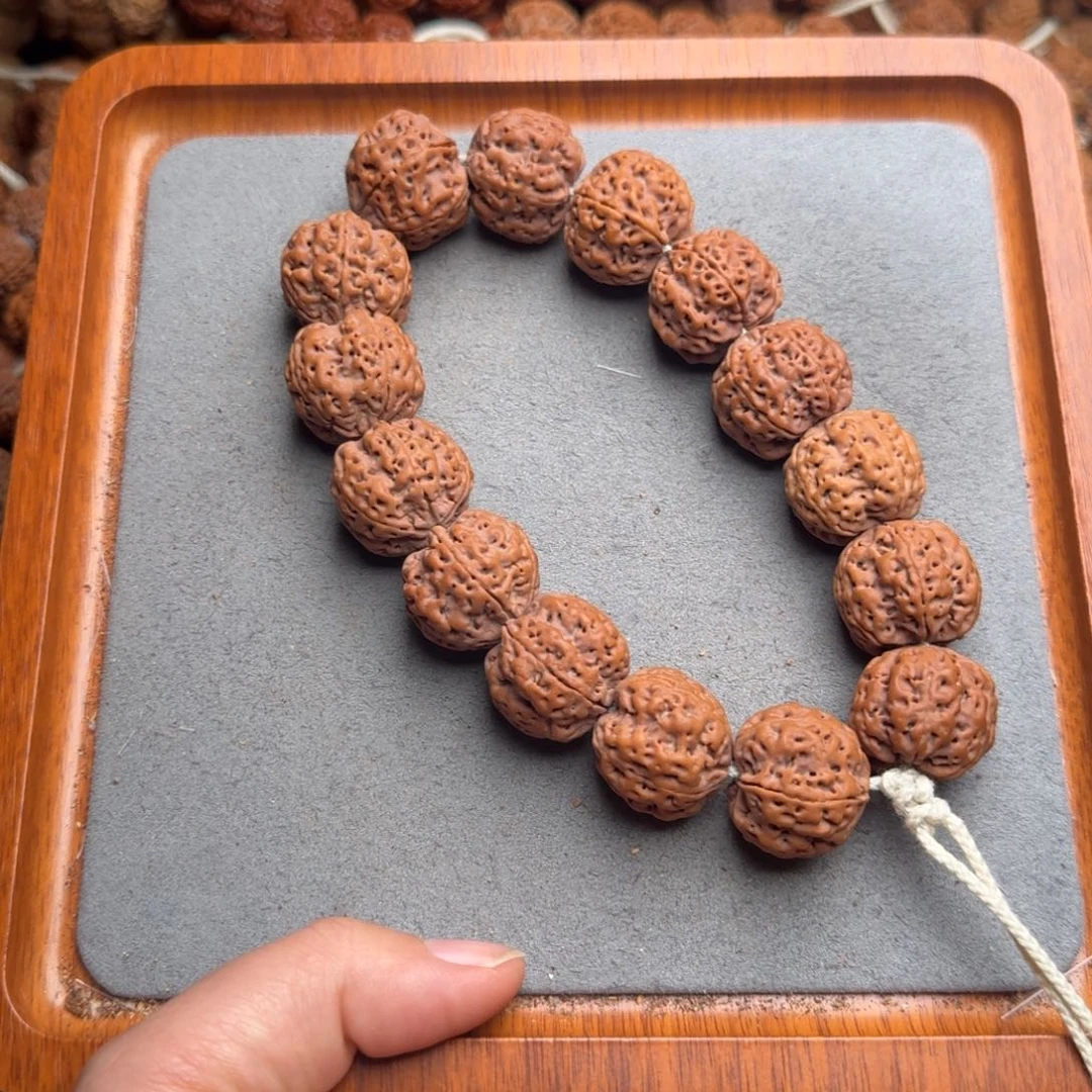 菩提菩提29号尼泊尔大金刚23爆肉梅花