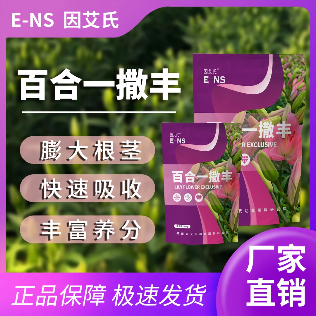 因艾氏百合一撒丰百合种植专用快速吸收调理土壤生根壮苗水溶肥料