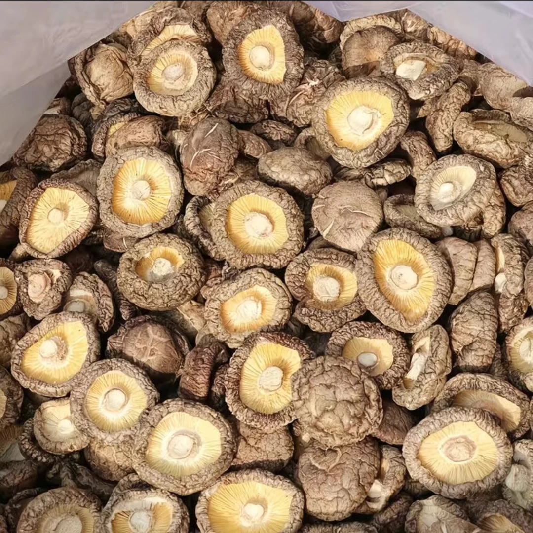 甄选古田干香菇肉厚无根无熏硫熬汤炒肉营养美味