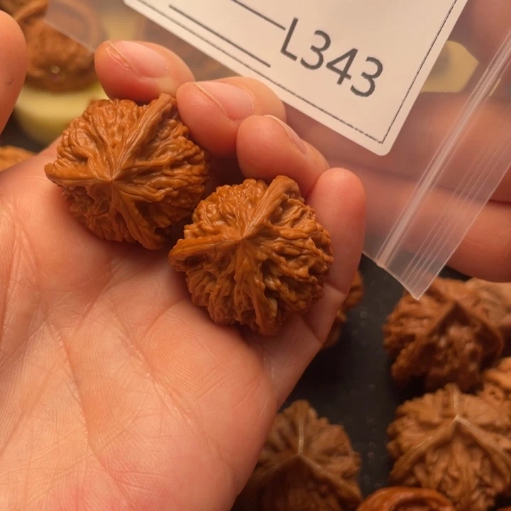 螳***拳桃核把件31小野牛三棱