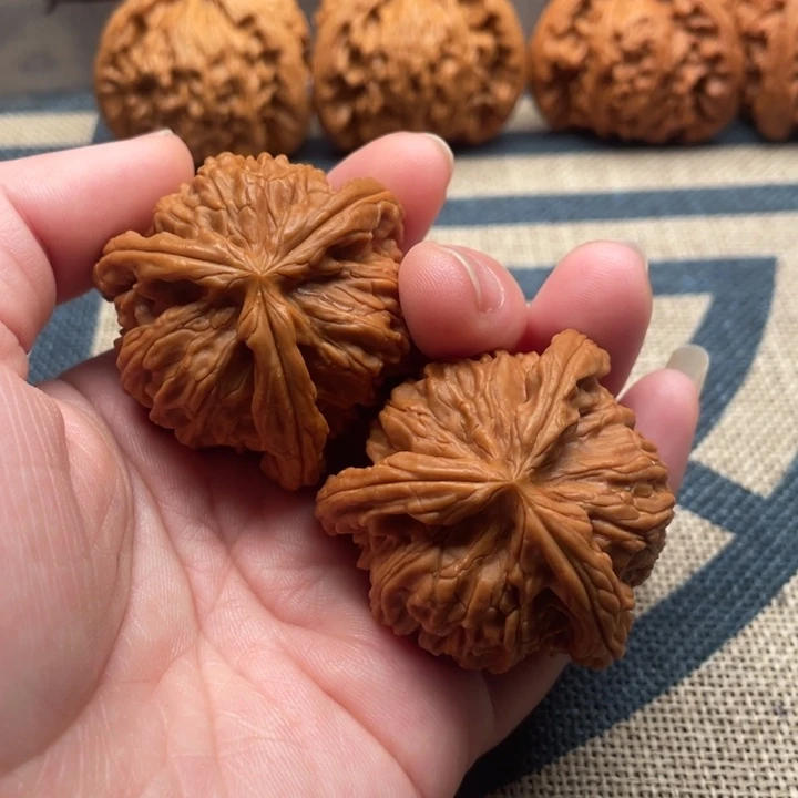 用***1核桃白狮子1800核桃