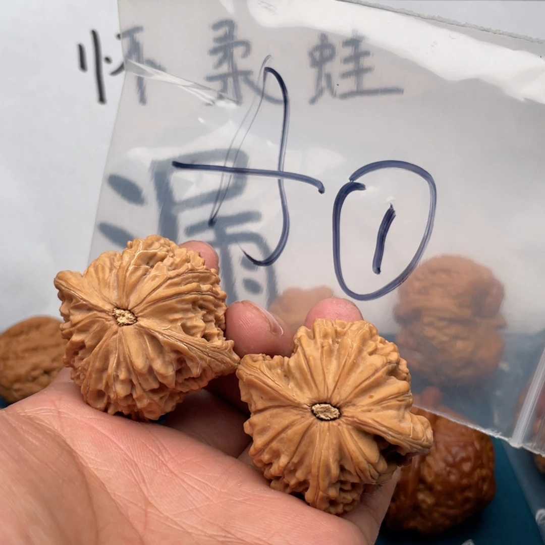 橄榄核手串/手链W974694946694836