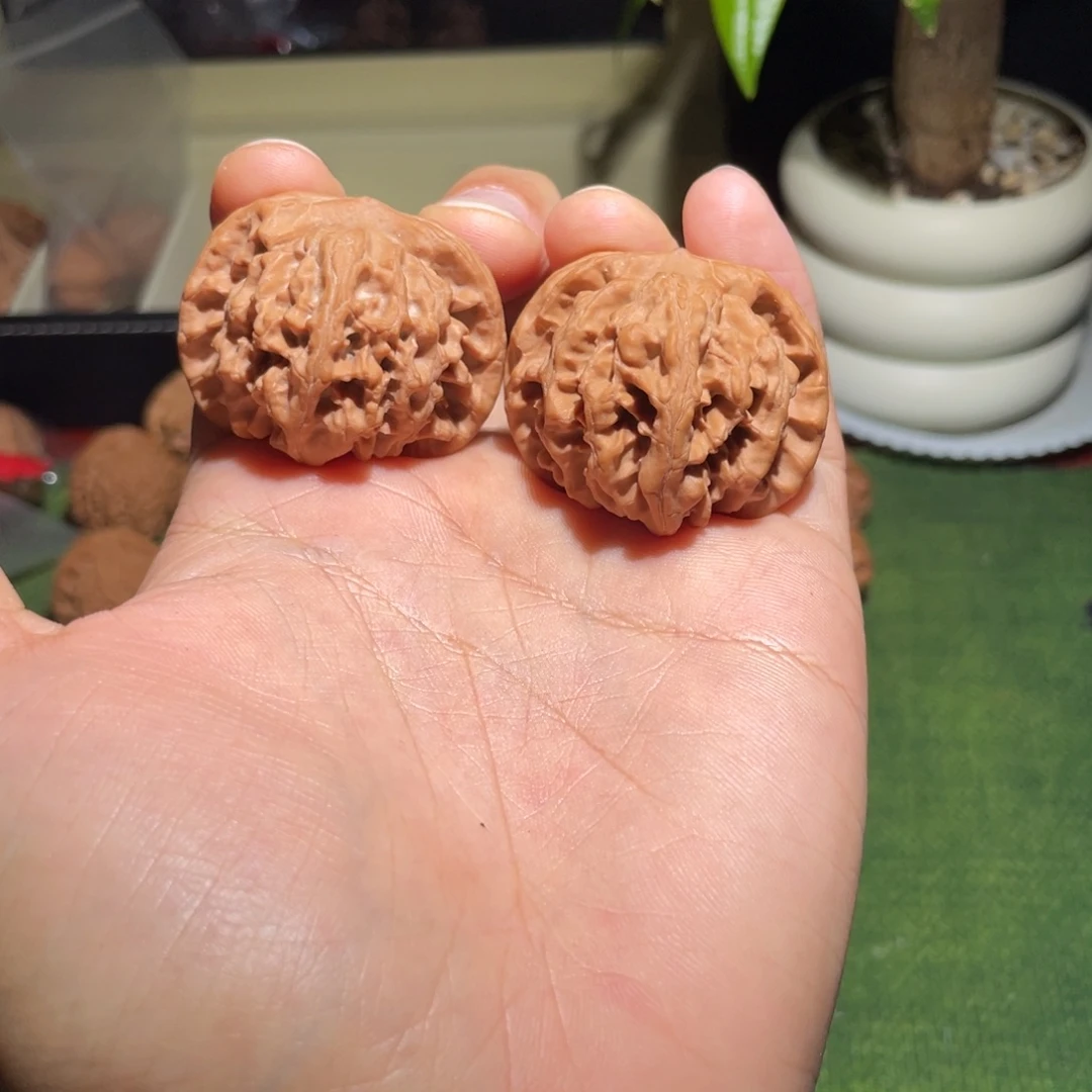 文玩核桃把件41原树太阳花