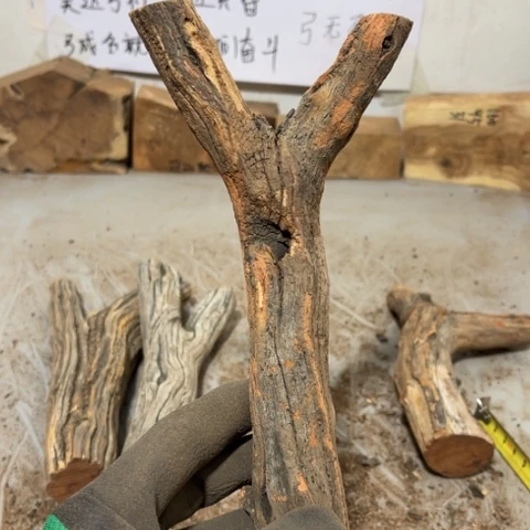 大果紫檀（缅甸花梨）凉