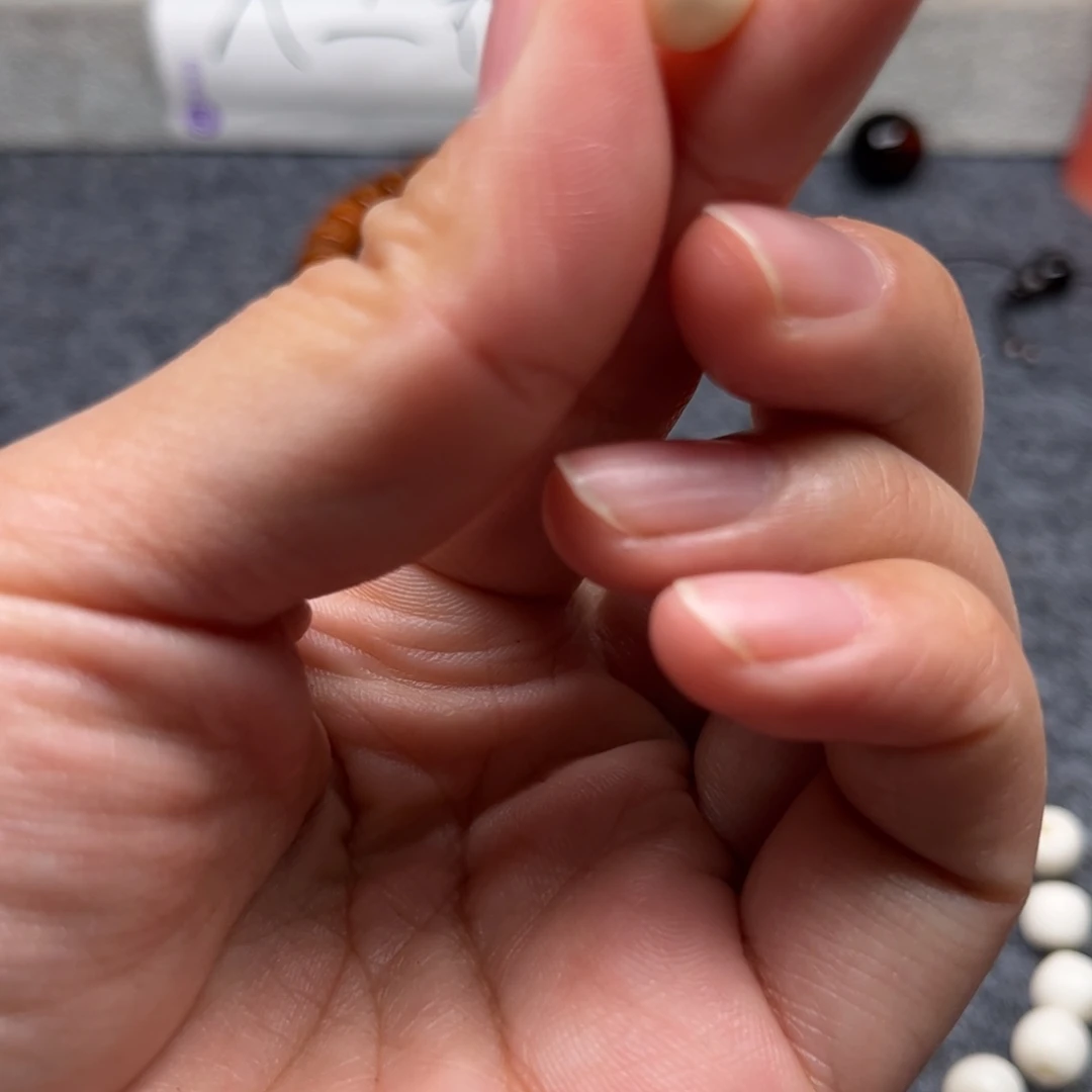 鹿骨其他人工养殖驼骨3