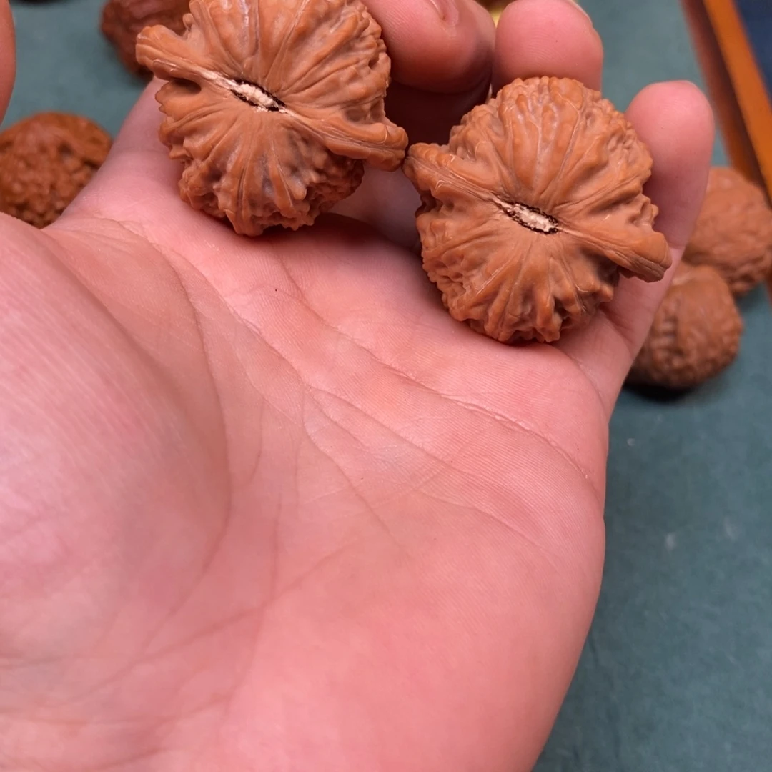 ꧁***꧂吊坠桃核白狮子老树