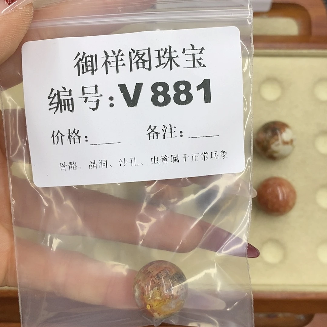 硅化珊瑚（珊瑚玉）颈饰未镶嵌茯*