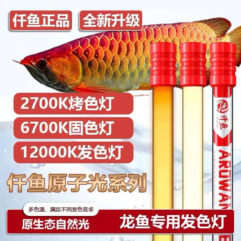 仟鱼龙鱼专用发色增色诱色三基色全光谱鱼缸潜水灯