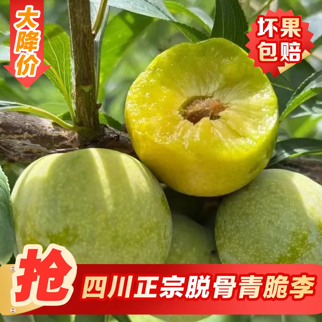 四川李子精选高山青脆脱骨李新鲜孕妇半边红脆甜多汁夏季